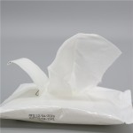 Makeup Remover Wipes Manufacturer - OEM Custom Logo