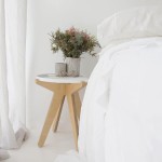 Bed Sheet Set Factory - 100% Lyocell Organic Bamboo