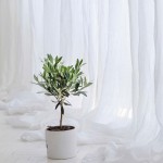 Sheer Curtain Supplier - Luxurious White Linen Flax