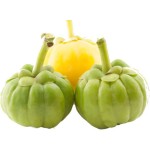 Best Price High Purity Weight Loss Cambogia Garcinia Extract Powder 50% Garcinia Cambogia Capsules