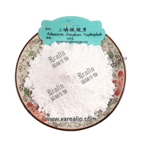 CAS 987-65-5 98% Pure ATP Disodium Salt Adenosine Disodium Triphosphate