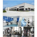 DCA-Na二氯乙酸钠样品CAS 2156-56-1二氯乙酸钠粉末100g/袋