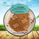 木瓜叶提取物粉绿色木瓜粉木瓜叶粉