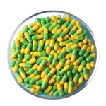 减肥95% HCA羟基柠檬酸藤黄果提取物粉末