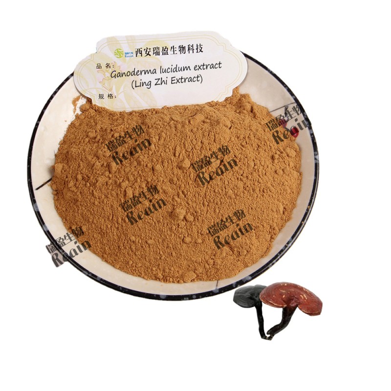 Ling Zhi Extract Ganoderma Lucidum Extract for Functional Food Supplement