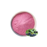Natural Aronia Fruit Powder Spray Dried Aronia Chokeberry Powder