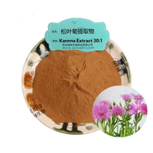 高品质草药提取物10:1 Kanna提取物粉末Kanna提取物