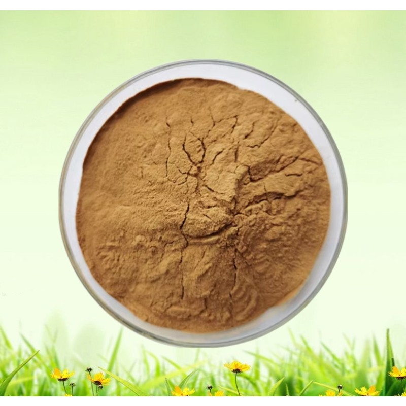 Olea Europaea Leaf Exract  Extract 20% Hydroxytyrosol