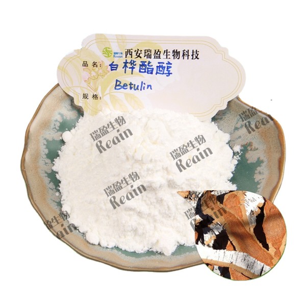 高纯度天然白桦林补充头发护理白桦皮提取物CAS 473-98-3白桦林粉98%白桦林