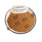 灵芝提取物灵芝提取物功能性食品补充剂