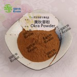 免费样品天然100%蔬菜粉散装秋葵粉