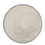 甜味剂Lifecare供应食品级奶酪粉用于食品添加剂