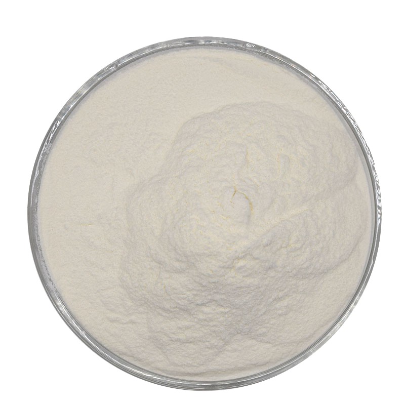Sweetener Lifecare Supply Food Grade Cheese Powder for Food Additives