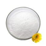 甜味剂Lifecare供应食品级奶酪粉用于食品添加剂