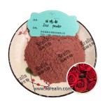 天然玫瑰花瓣粉烘焙食品颜色皮肤美容玫瑰粉