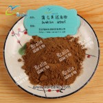 蒲公英根萃取粉10:1