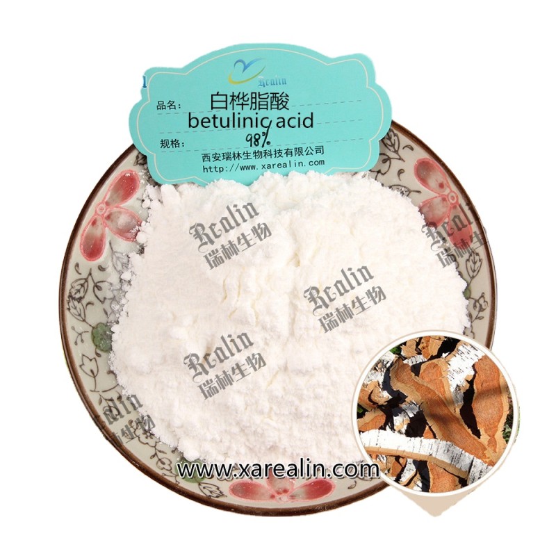 High Purity Natural  White Birch Bark Extract Betulinic Acid Powder CAS 473-98-3 98% Betulinic Acid