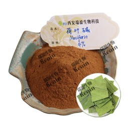 天然荷叶提取物P.E.荷叶提取物粉