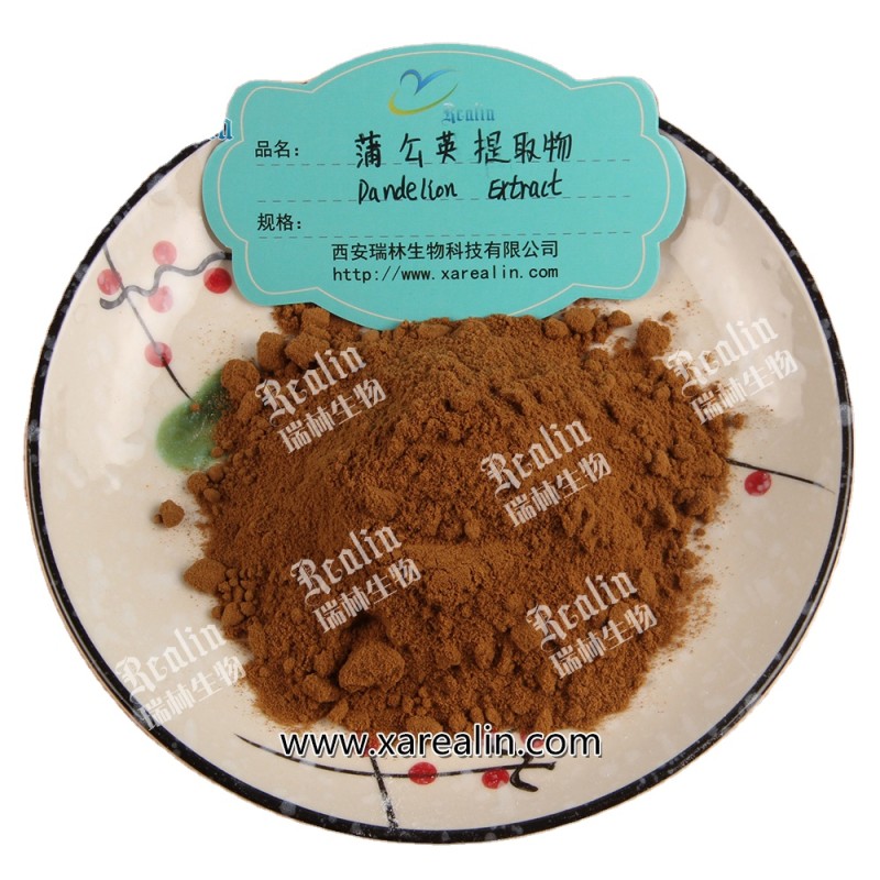 Taraxacum Extract Dandelion Root Extract Powder 10:1