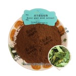 淫羊藿提取粉5%淫羊藿提取粉5%淫羊藿提取粉