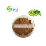 工厂直接供应减肥绿原酸50%优质100%纯绿咖啡豆提取物