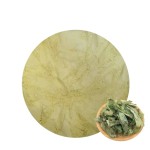 Man Power Horny Goat Weed Extract Epimedium Extract Powder Icariin