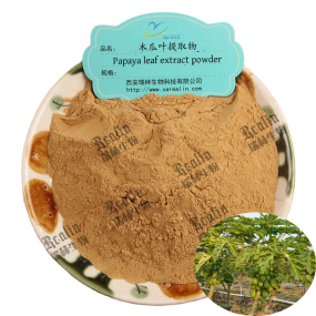 Papaya Leaf Extract Powder Green Papaya Powder Papaya Leaf Powder