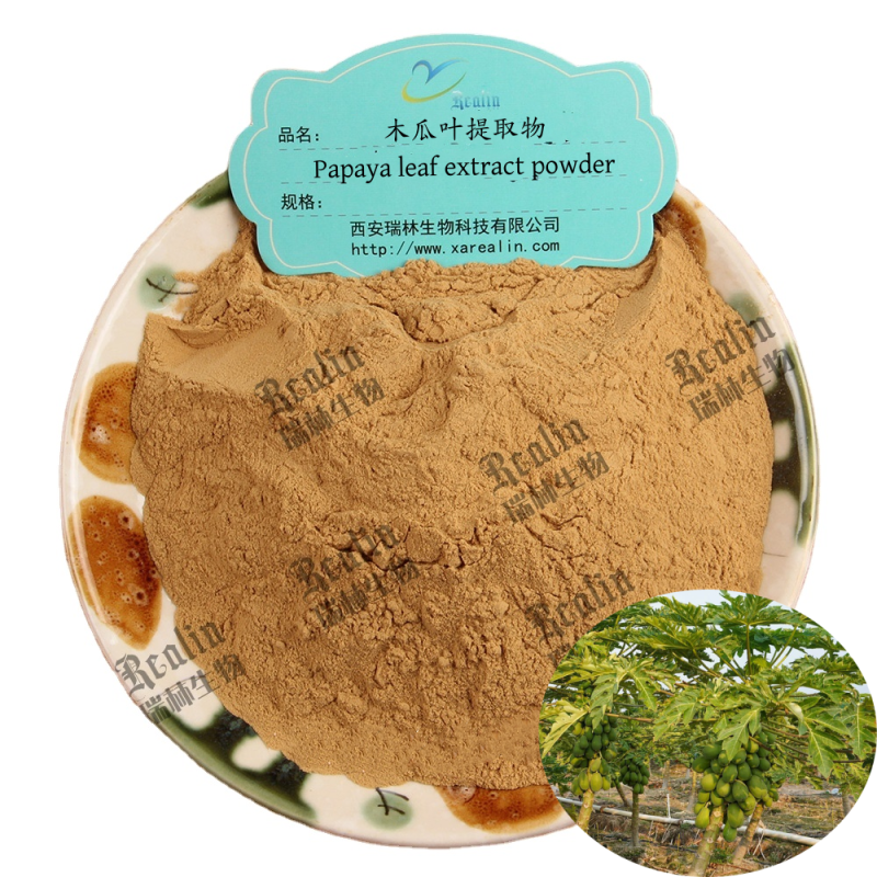 Papaya Leaf Extract Powder Green Papaya Powder Papaya Leaf Powder