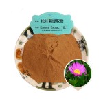 高品质草药提取物10:1 Kanna提取物粉末Kanna提取物