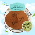 Senna Leaf Powder Slimming Fast Natural  Senna Leaf Extract Powder 10% 20% Sennosides Senna Leaf Powder