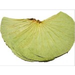 天然荷叶提取物P.E.荷叶提取物粉