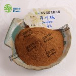 天然荷叶提取物P.E.荷叶提取物粉