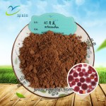 虾青素样品100g/袋红藻雨红球菌提取粉虾青素10%