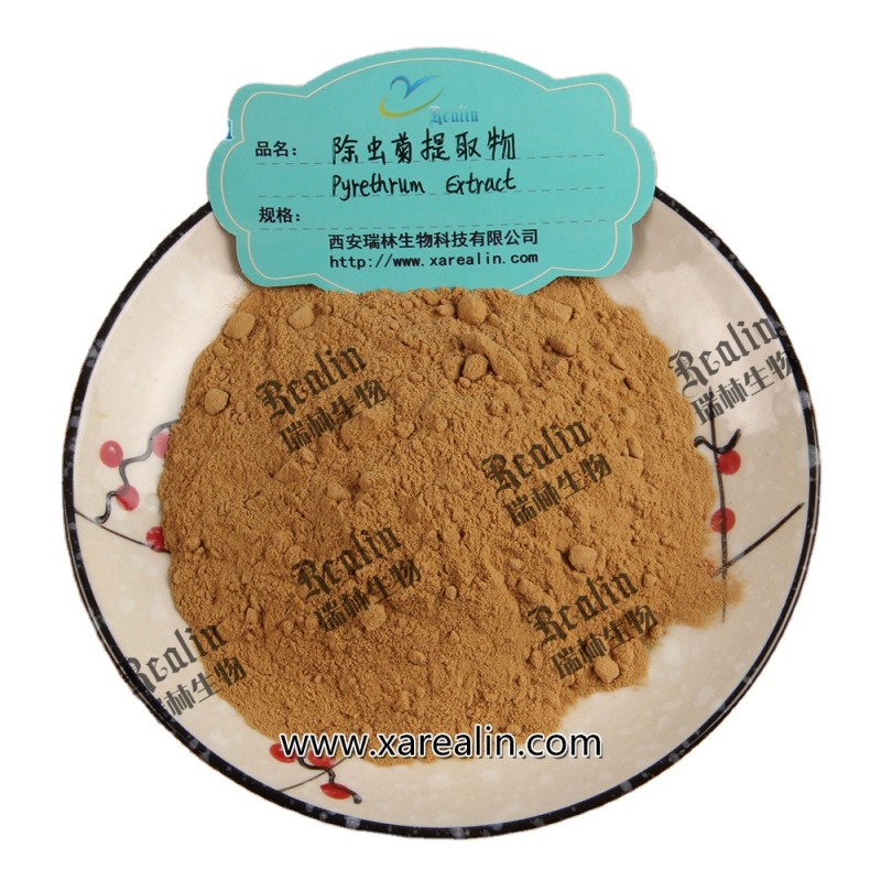 Pyrethrin Extarct Anacyclus Pyrethrum Extract 25% 50%  Pyrethrins Oil Pyrethrum Extract Pyrethrin Oil