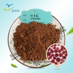 虾青素样品100g/袋红藻雨红球菌提取粉虾青素10%