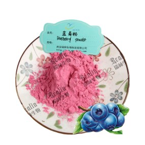 Factory Supply Blueberry Powder Raspberry Powder Blue Berry Raw Material