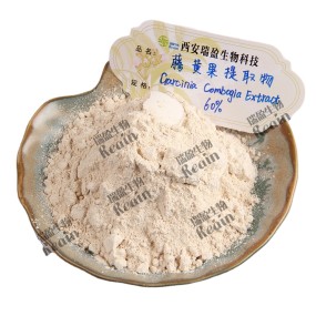 Weight Loss 95% HCA Hydroxy Citric Acid Garcinia Cambogia Extract Powder