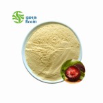 杨梅树皮提取物98%杨梅素