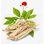 强壮的男人补充原料角质山羊草天然草药混合男性力量粉