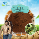 力比多建立补充胶囊增强力量和创造男子气概片剂胶囊