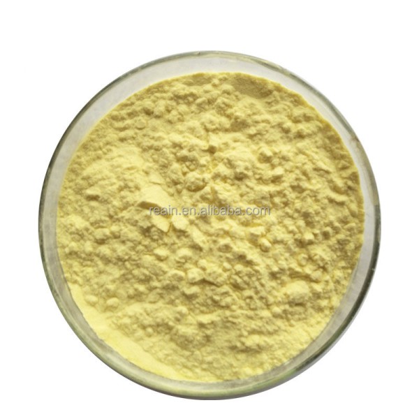 Man Power Horny Goat Weed Extract Epimedium Extract Powder Icariin