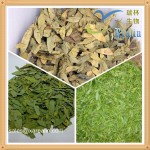 减肥批发散装番泻皂苷粉末15% 20%番泻叶提取物
