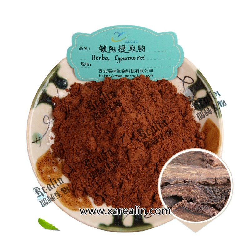 Natural Songaricum Extract Songaria Cynomorium Herb Extract Powder Songaria Alkali