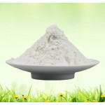 椰子果水粉椰子提取物椰子水粉