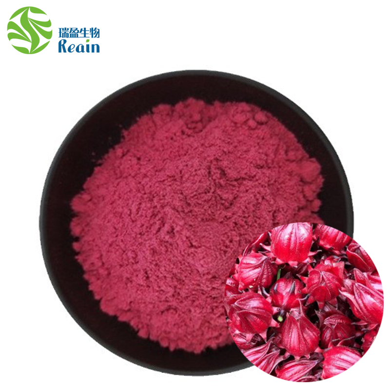 Roselle Extract Powder Hibiscus Sabdariffa 99% Roselle Powder