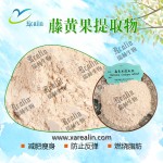 免费样品天然98%藤黄果羟基柠檬酸散装藤黄果提取物粉末