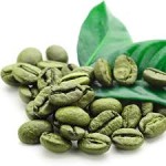 工厂直接供应减肥绿原酸50%优质100%纯绿咖啡豆提取物