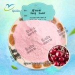 天然樱桃果汁粉速溶饮料及烘焙原料樱桃粉