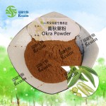 免费样品天然100%蔬菜粉散装秋葵粉