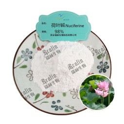 减肥草药提取物荷叶萃取粉荷叶碱98%